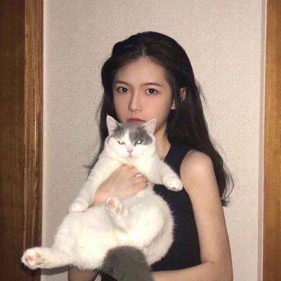 一刀传世bt服下载